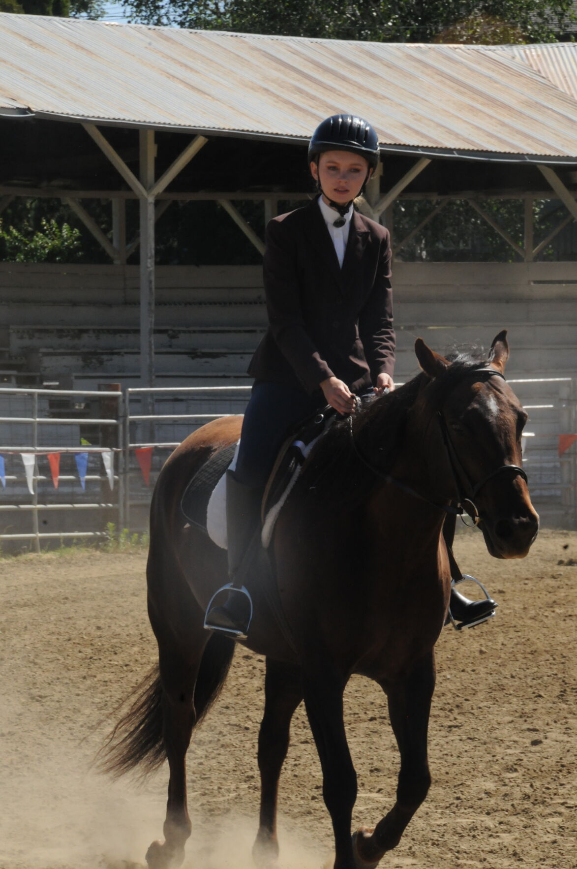 4-H Horse Show photo2